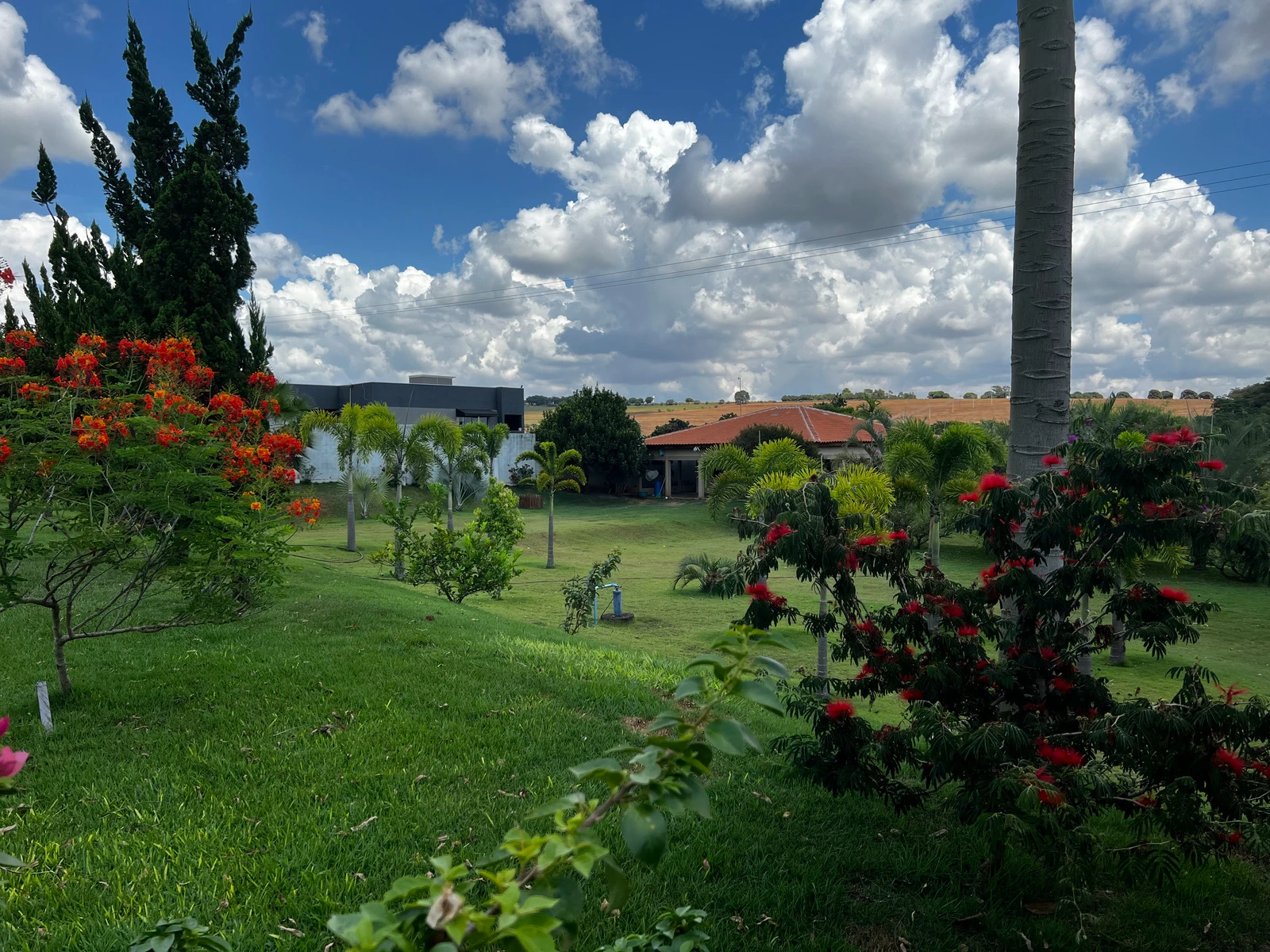 Foto 14